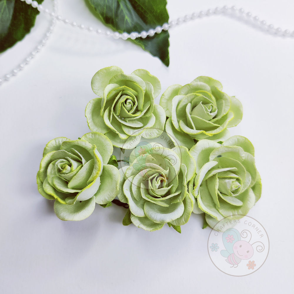 Curved Roses 35 MM - Mint Green