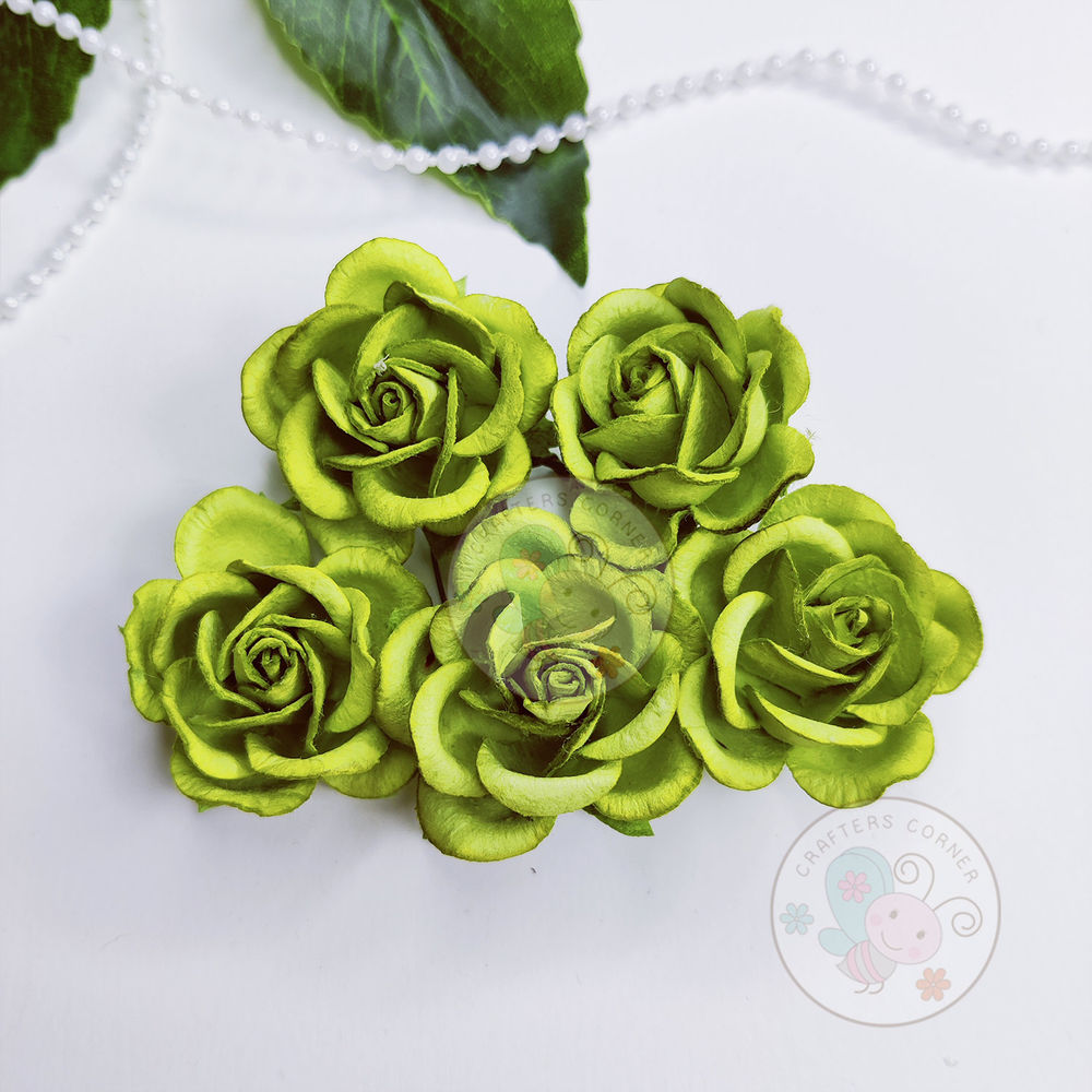 Curved Roses 35 MM - Pear Green